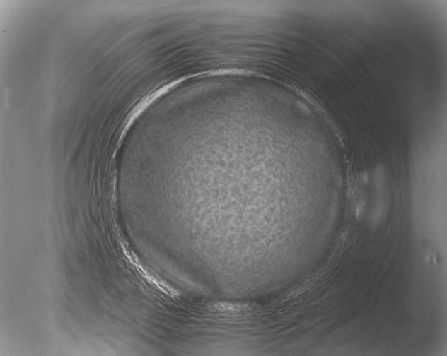 X0000085810933200703301521