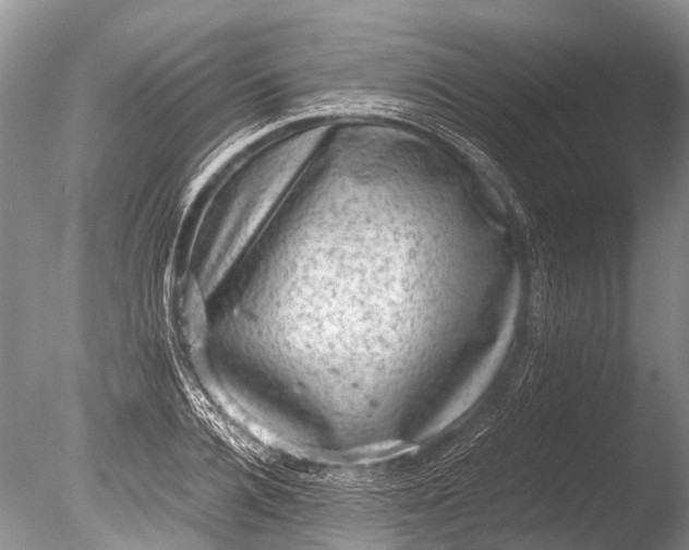 X0000085810936200703301521