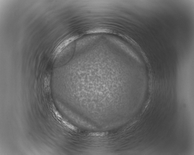 X0000085810937200703301521