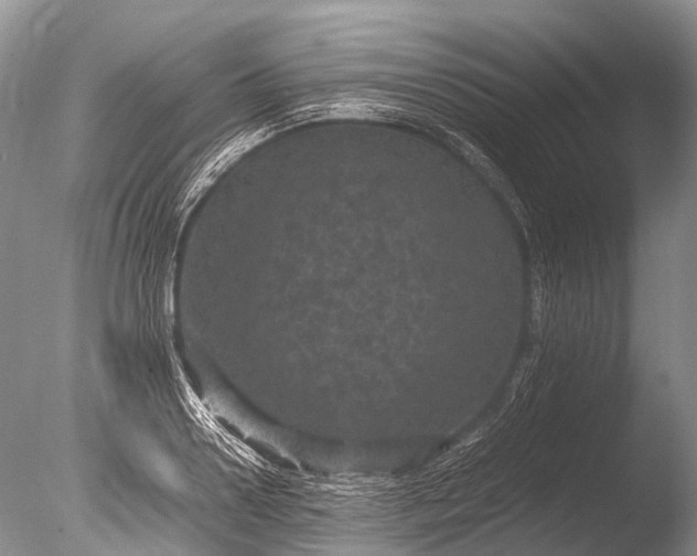 X0000085810938200703301521