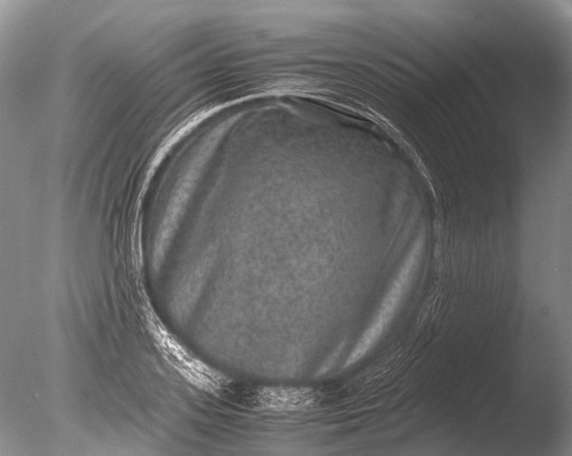 X0000085810939200703301521