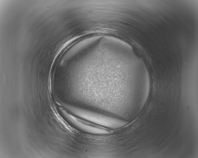 X0000085810940200703301521