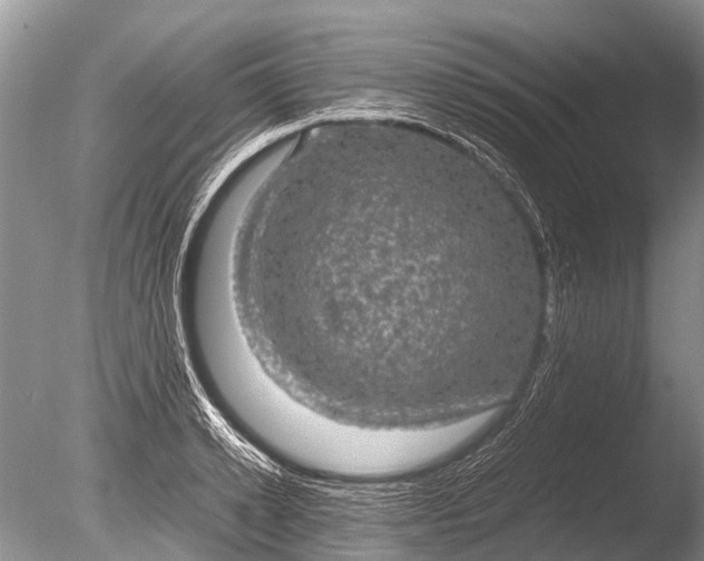 X0000085810942200703301521