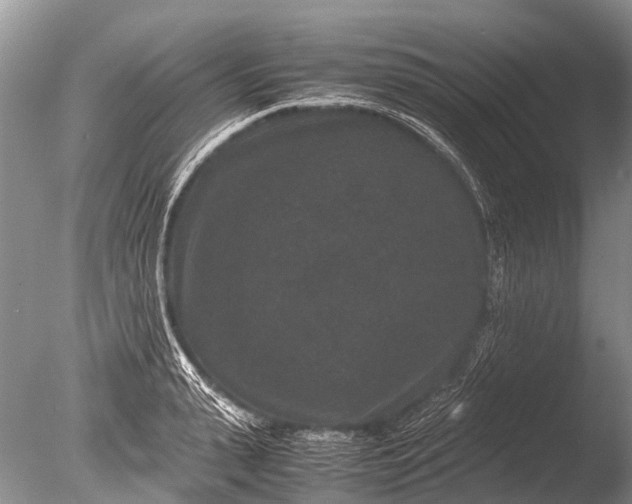 X0000085810943200703301521