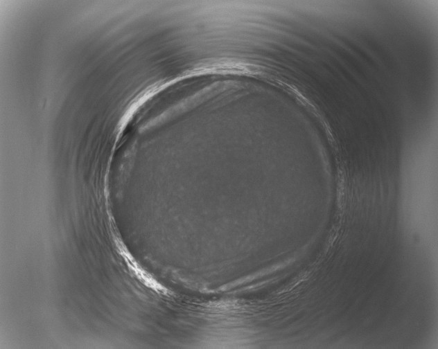 X0000085810944200703301521