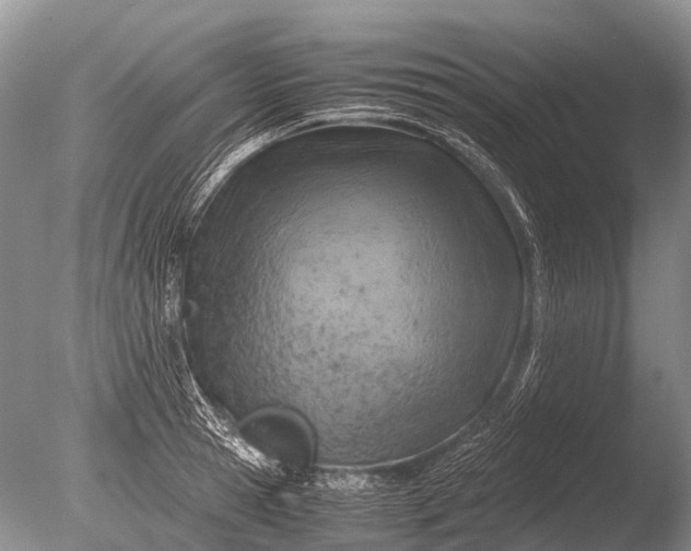 X0000085810945200703301521