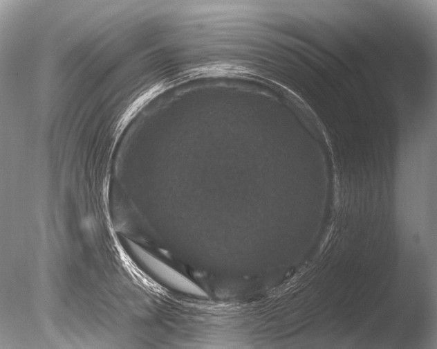 X0000085810946200703301521