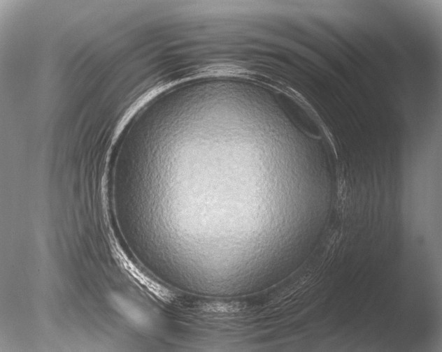 X0000085810947200703301521