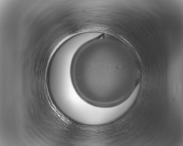 X0000085810948200703301521