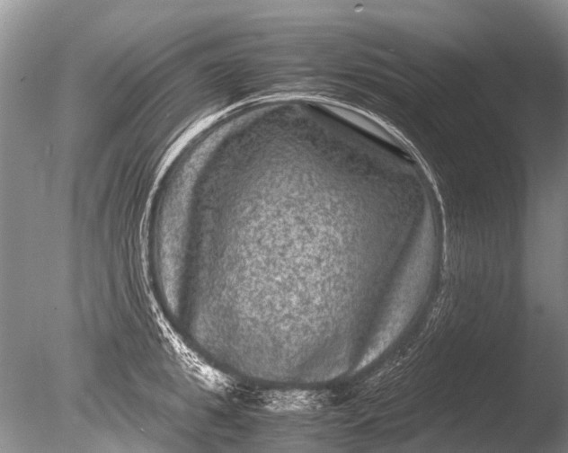 X0000085810949200703301521