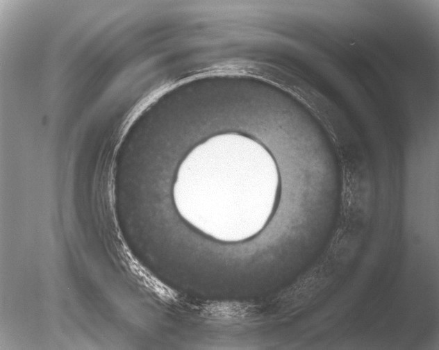 X0000085810950200703301521