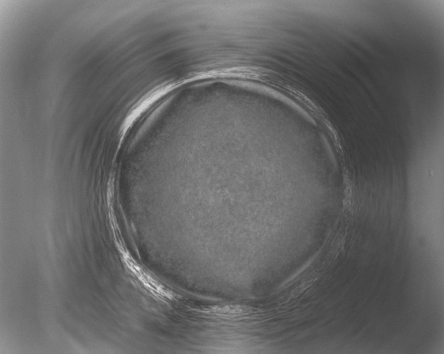 X0000085810952200703301521