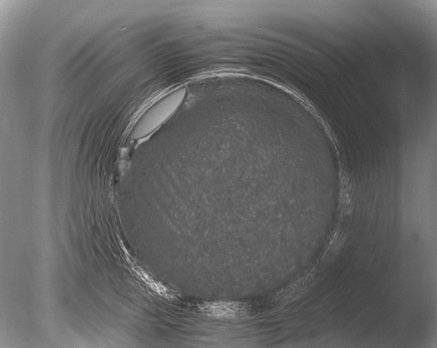 X0000085810953200703301521