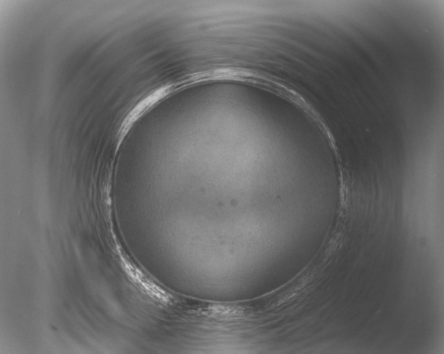 X0000085810954200703301522