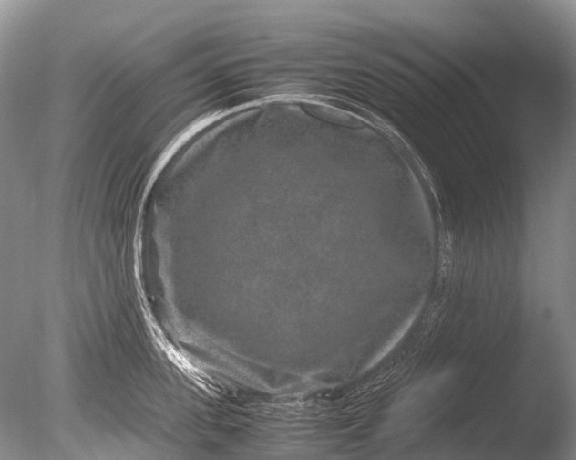 X0000085810955200703301522