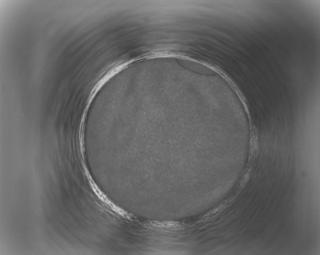 X0000085810957200703301522