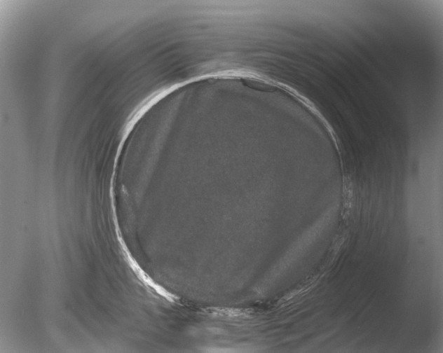 X0000085810959200703301522