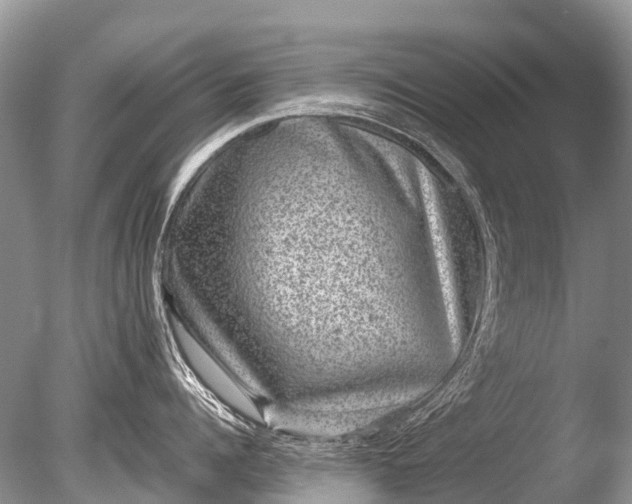 X0000085810960200703301522