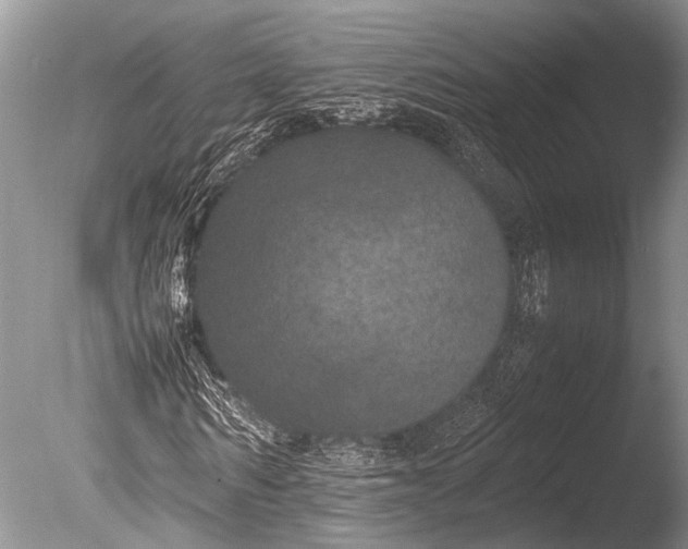 X0000085810962200703301521