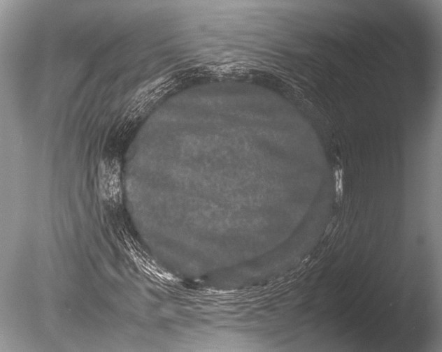 X0000085810963200703301521