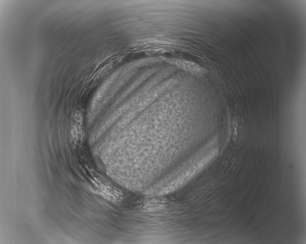 X0000085810964200703301521