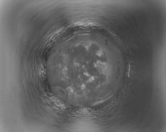 X0000085810966200703301521