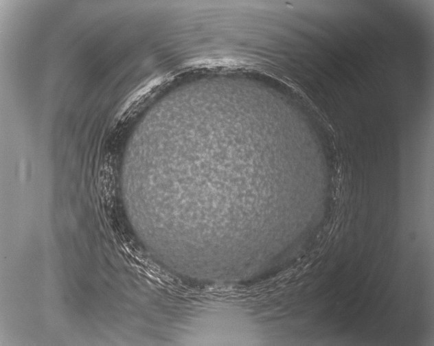 X0000085810967200703301521