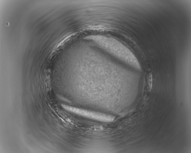 X0000085810968200703301521