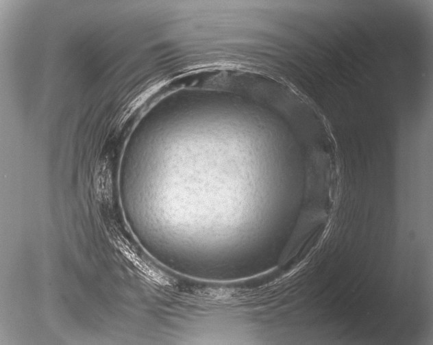 X0000085810969200703301521