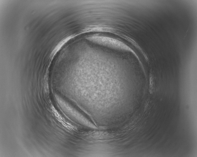 X0000085810972200703301521