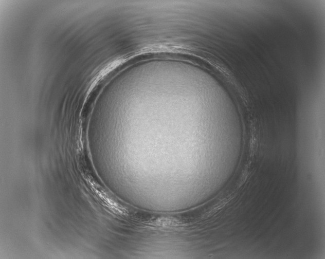 X0000085810974200703301521