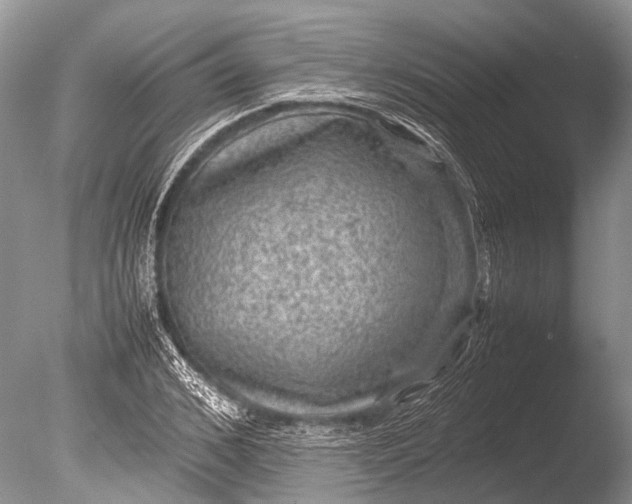 X0000085810976200703301521