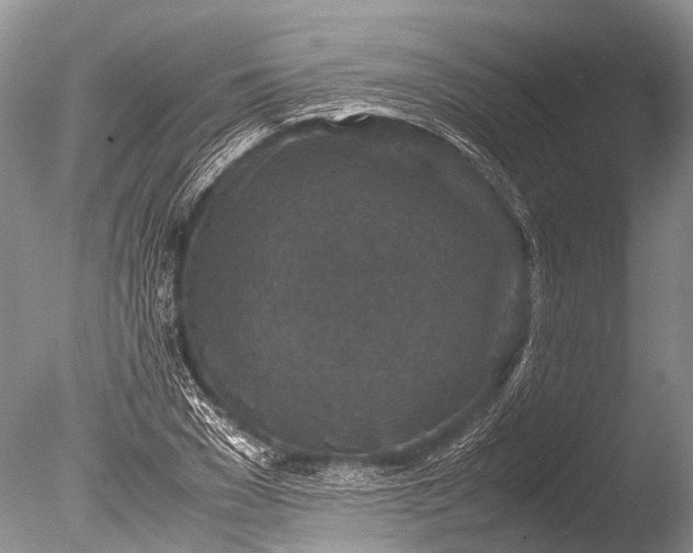 X0000085810977200703301520