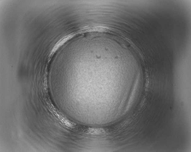 X0000085810978200703301520