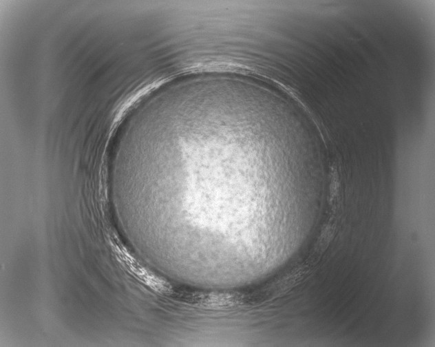 X0000085810979200703301520