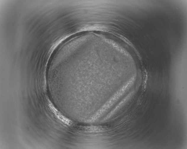 X0000085810980200703301520