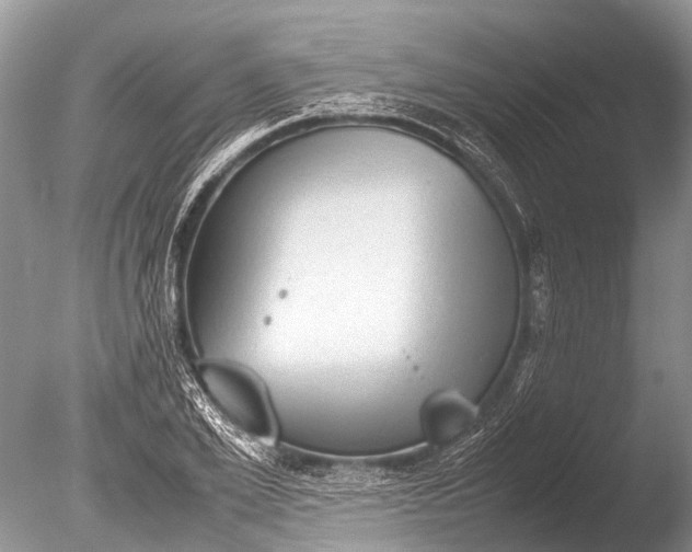 X0000085810981200703301520