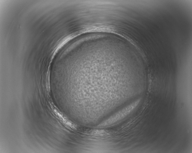 X0000085810982200703301520