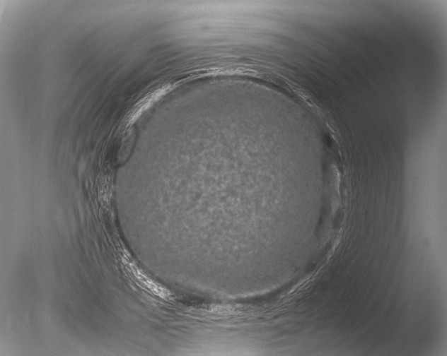 X0000085810985200703301520