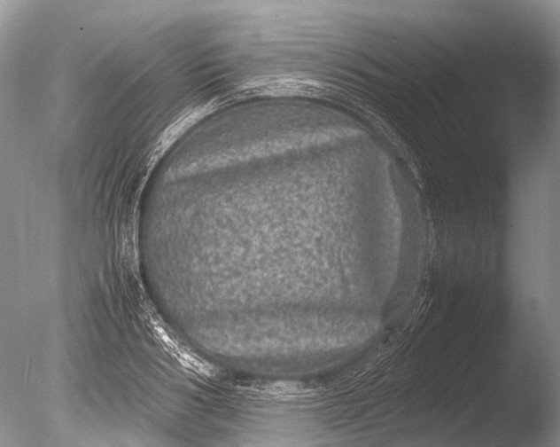 X0000085810986200703301520