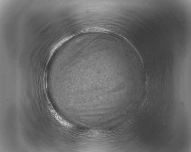 X0000085810987200703301520