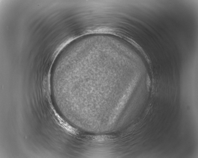 X0000085810988200703301520