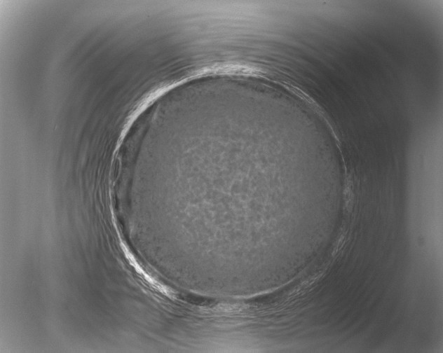 X0000085810989200703301520