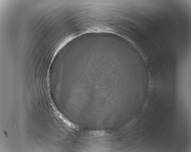 X0000085810990200703301520