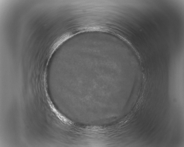 X0000085810991200703301520