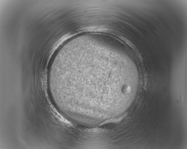 X0000085810992200703301520