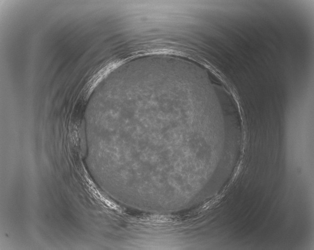 X0000085810993200703301520