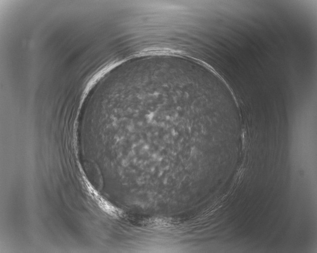 X0000085810995200703301520