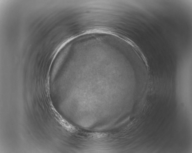 X0000085810996200703301520