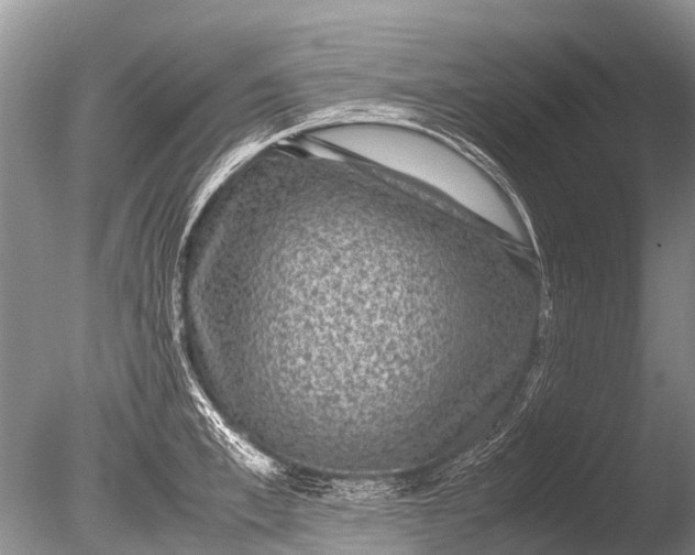 X0000085810997200703301520